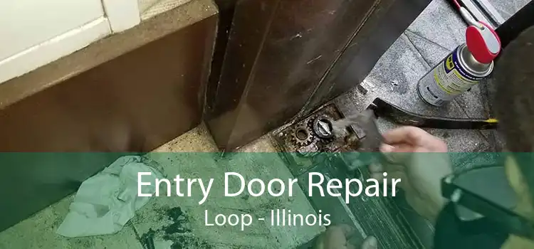 Entry Door Repair Loop - Illinois