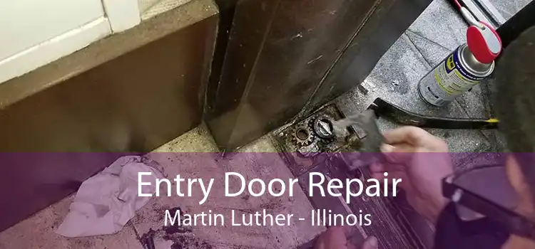 Entry Door Repair Martin Luther - Illinois