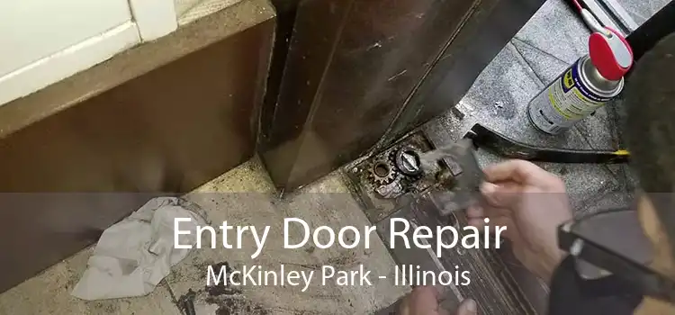 Entry Door Repair McKinley Park - Illinois