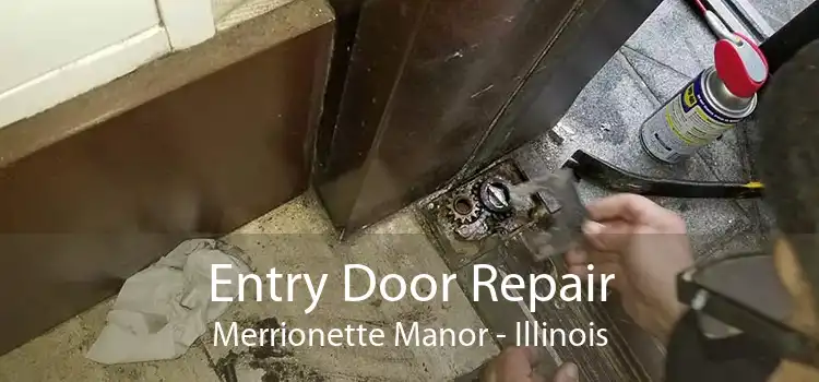 Entry Door Repair Merrionette Manor - Illinois