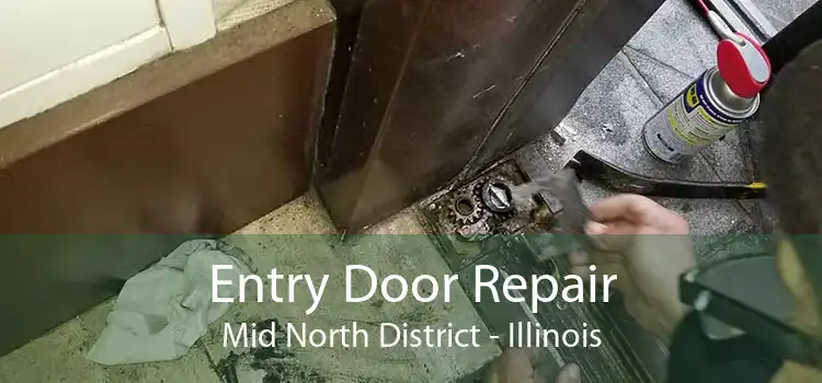 Entry Door Repair Mid North District - Illinois