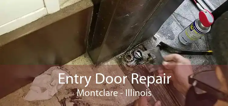 Entry Door Repair Montclare - Illinois