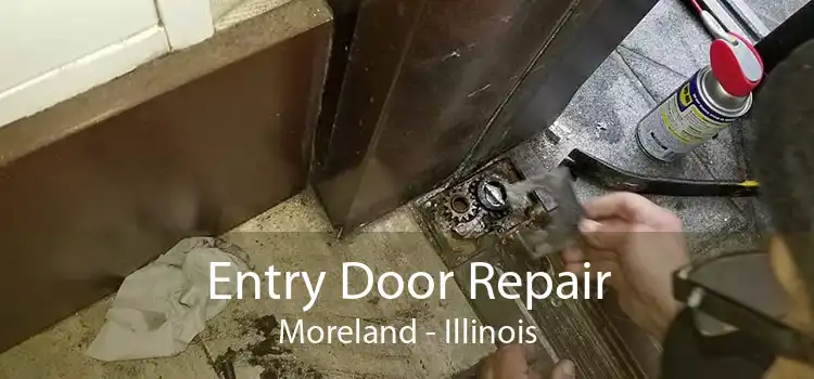 Entry Door Repair Moreland - Illinois