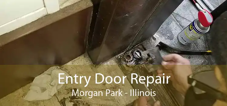 Entry Door Repair Morgan Park - Illinois