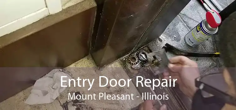 Entry Door Repair Mount Pleasant - Illinois