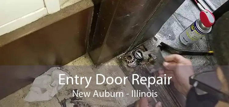 Entry Door Repair New Auburn - Illinois