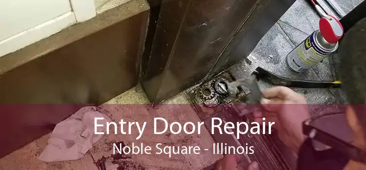 Entry Door Repair Noble Square - Illinois