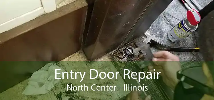 Entry Door Repair North Center - Illinois