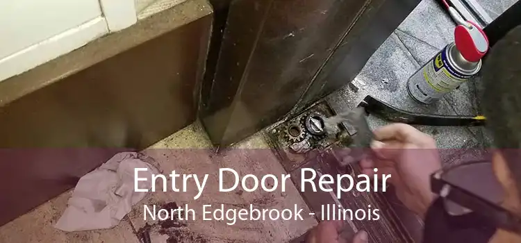 Entry Door Repair North Edgebrook - Illinois