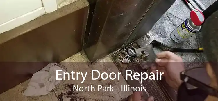 Entry Door Repair North Park - Illinois