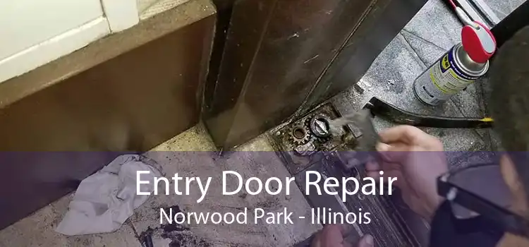 Entry Door Repair Norwood Park - Illinois