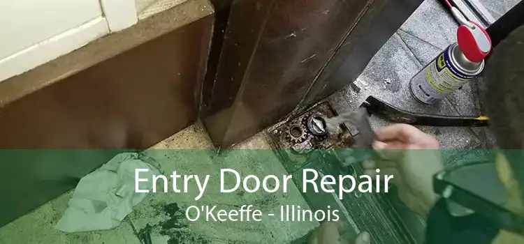 Entry Door Repair O'Keeffe - Illinois