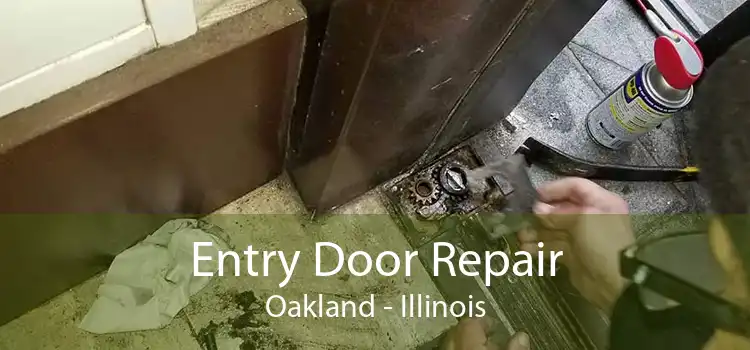 Entry Door Repair Oakland - Illinois