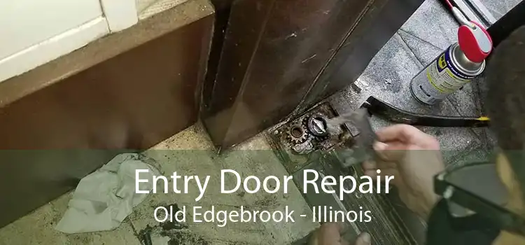 Entry Door Repair Old Edgebrook - Illinois