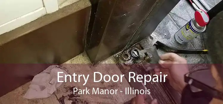 Entry Door Repair Park Manor - Illinois