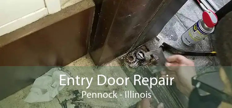 Entry Door Repair Pennock - Illinois