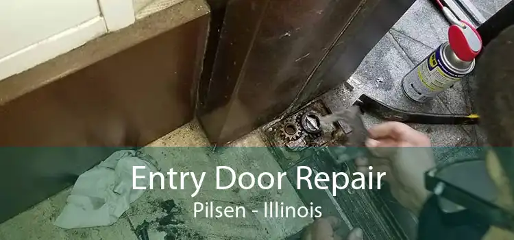 Entry Door Repair Pilsen - Illinois