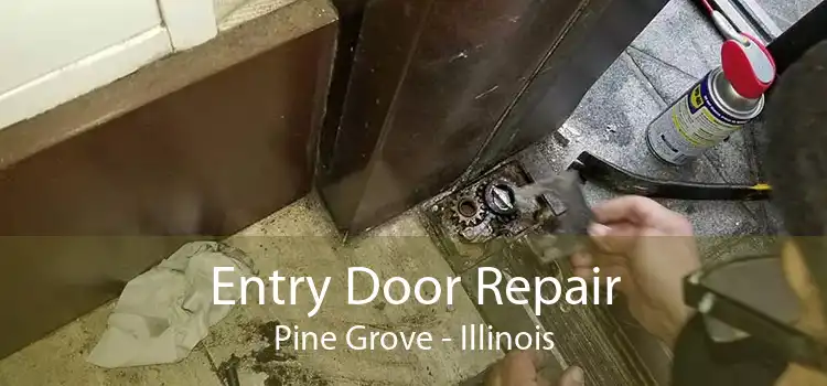 Entry Door Repair Pine Grove - Illinois