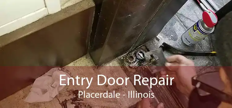 Entry Door Repair Placerdale - Illinois