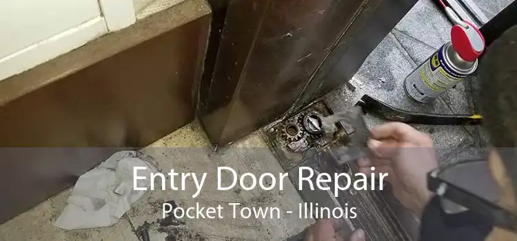 Entry Door Repair Pocket Town - Illinois