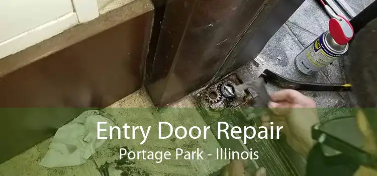 Entry Door Repair Portage Park - Illinois