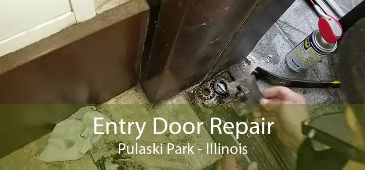 Entry Door Repair Pulaski Park - Illinois