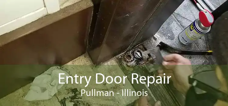 Entry Door Repair Pullman - Illinois