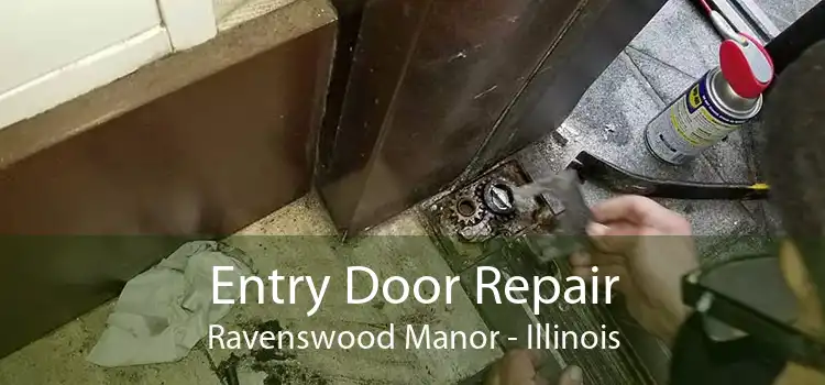 Entry Door Repair Ravenswood Manor - Illinois