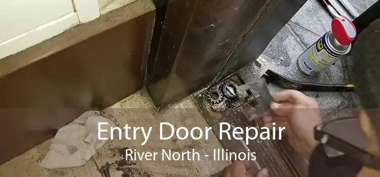 Entry Door Repair River North - Illinois