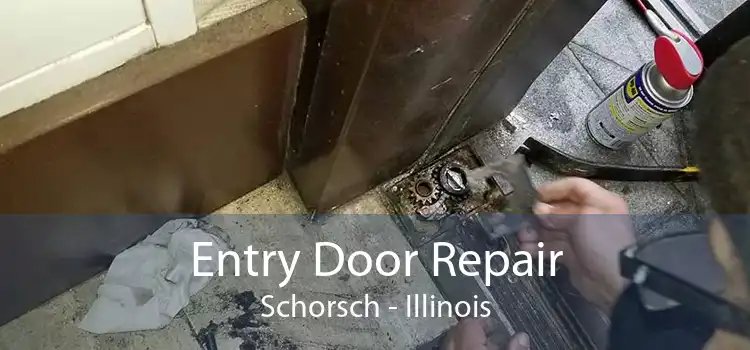 Entry Door Repair Schorsch - Illinois