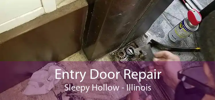 Entry Door Repair Sleepy Hollow - Illinois