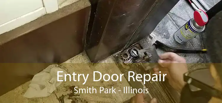 Entry Door Repair Smith Park - Illinois