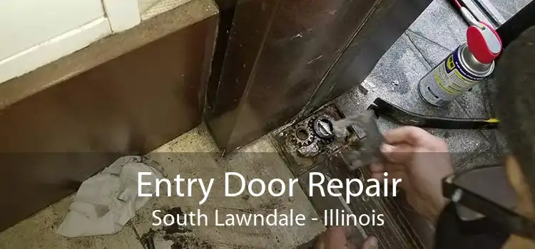 Entry Door Repair South Lawndale - Illinois