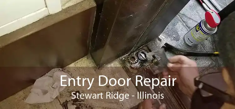 Entry Door Repair Stewart Ridge - Illinois