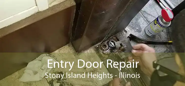 Entry Door Repair Stony Island Heights - Illinois