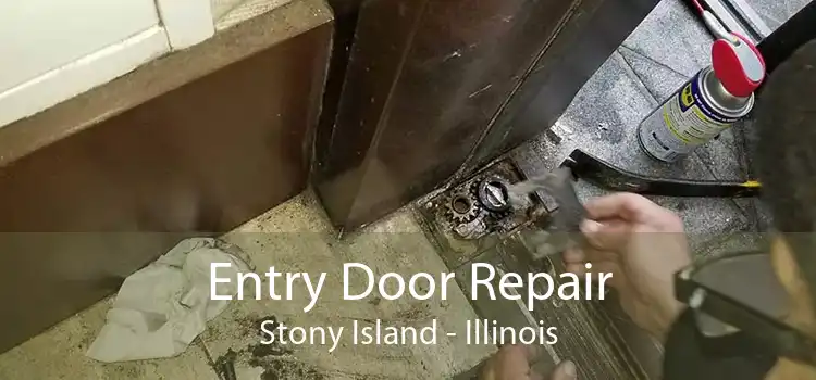 Entry Door Repair Stony Island - Illinois