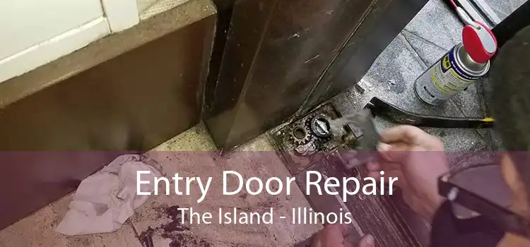 Entry Door Repair The Island - Illinois