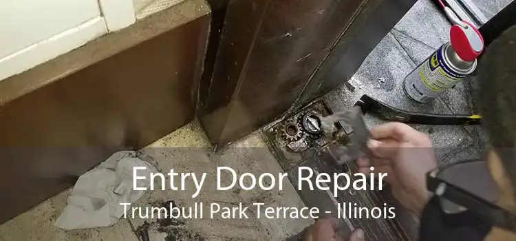 Entry Door Repair Trumbull Park Terrace - Illinois