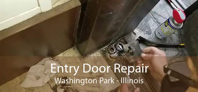 Entry Door Repair Washington Park - Illinois