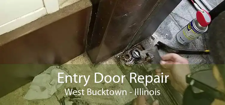 Entry Door Repair West Bucktown - Illinois