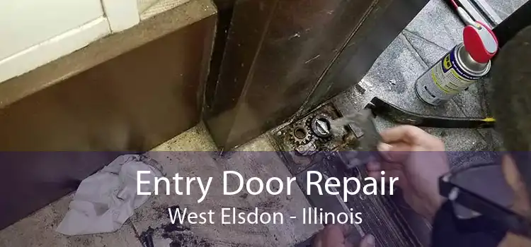 Entry Door Repair West Elsdon - Illinois