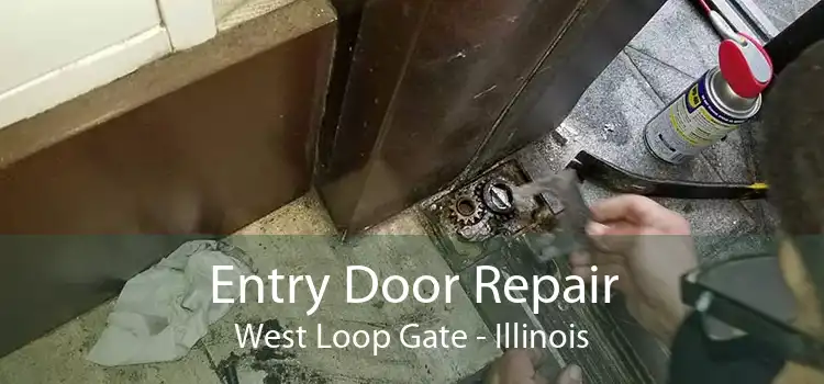 Entry Door Repair West Loop Gate - Illinois