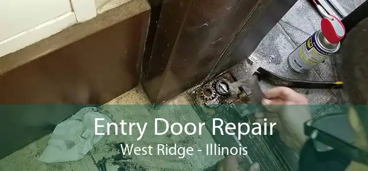 Entry Door Repair West Ridge - Illinois