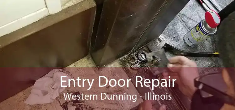 Entry Door Repair Western Dunning - Illinois