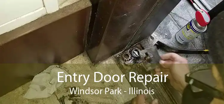 Entry Door Repair Windsor Park - Illinois