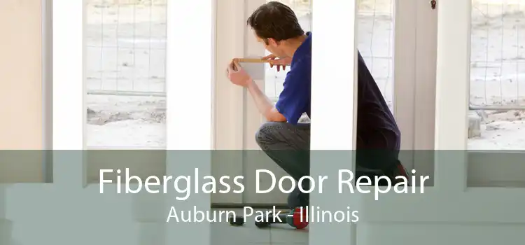 Fiberglass Door Repair Auburn Park - Illinois