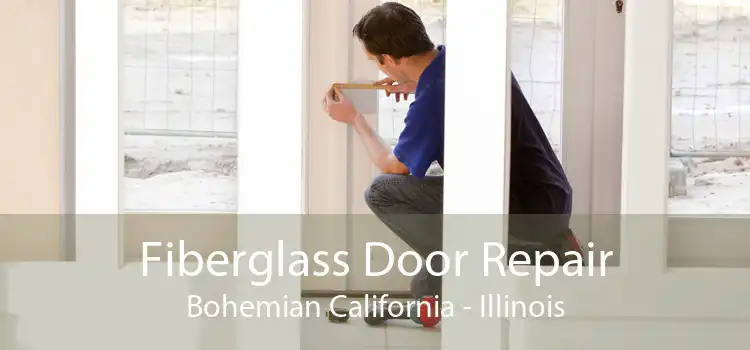 Fiberglass Door Repair Bohemian California - Illinois