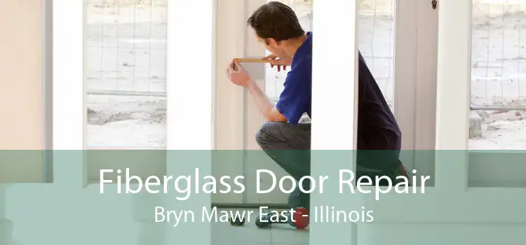 Fiberglass Door Repair Bryn Mawr East - Illinois