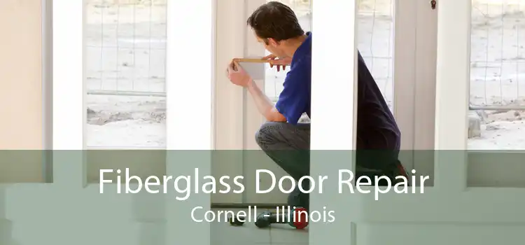 Fiberglass Door Repair Cornell - Illinois