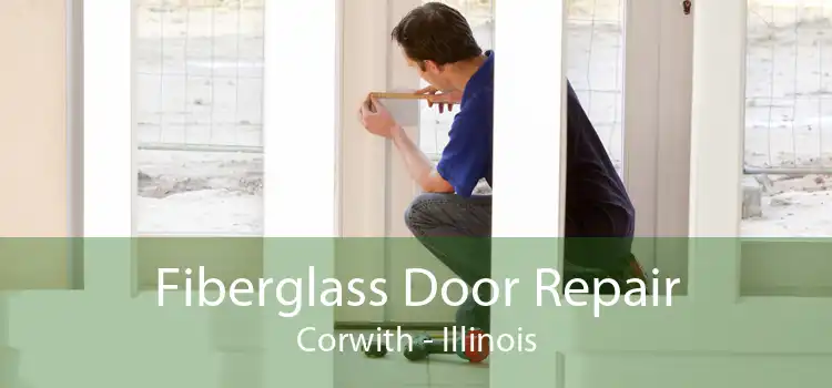 Fiberglass Door Repair Corwith - Illinois